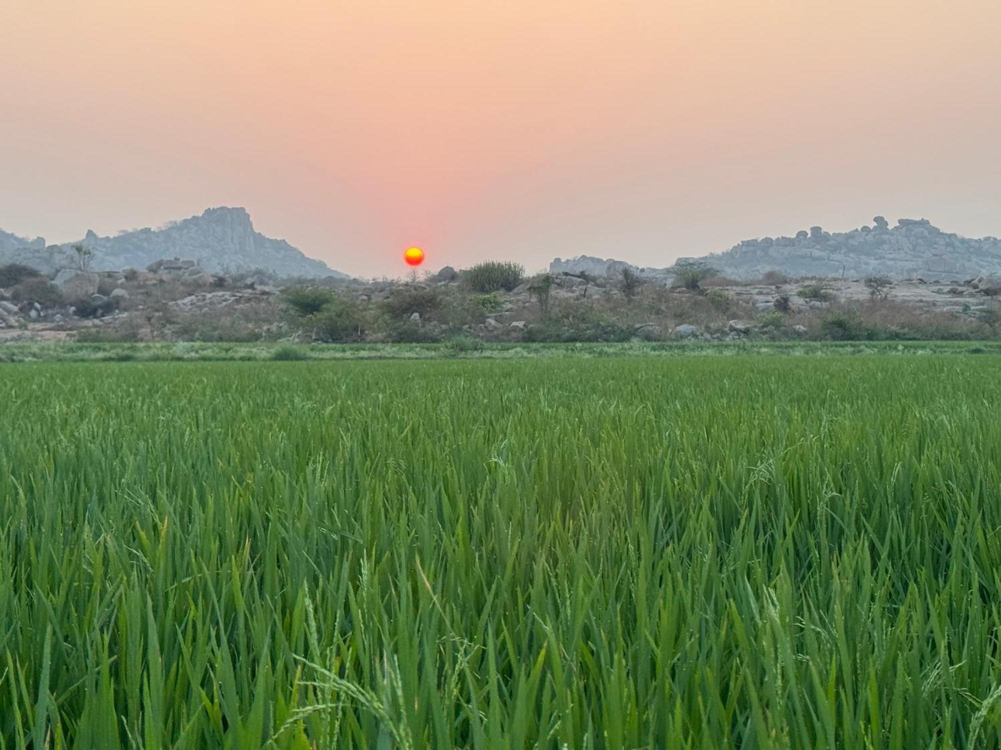 Hotel Hill Stone View Hampi Esterno foto