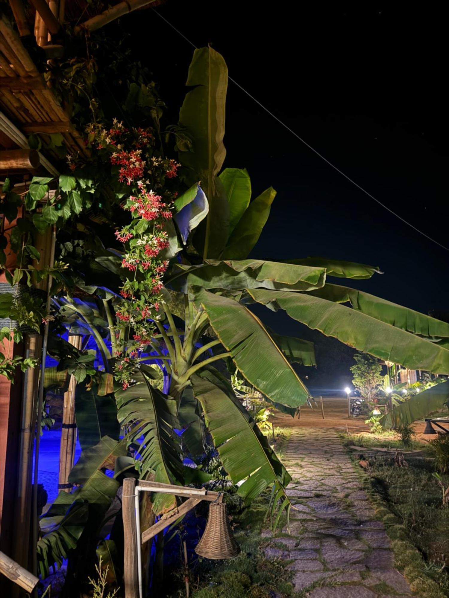 Hotel Hill Stone View Hampi Esterno foto